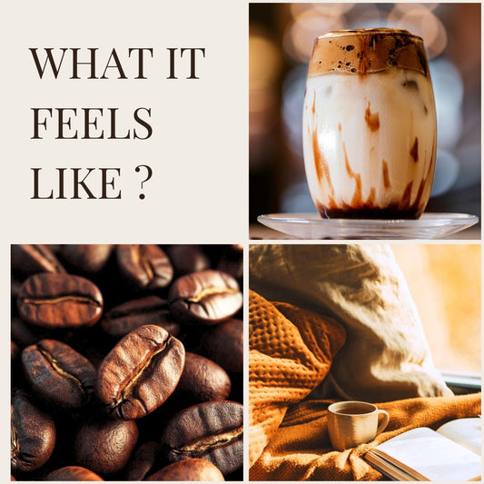 Mocha Mist | Car Hanging Pod | upto 75 days