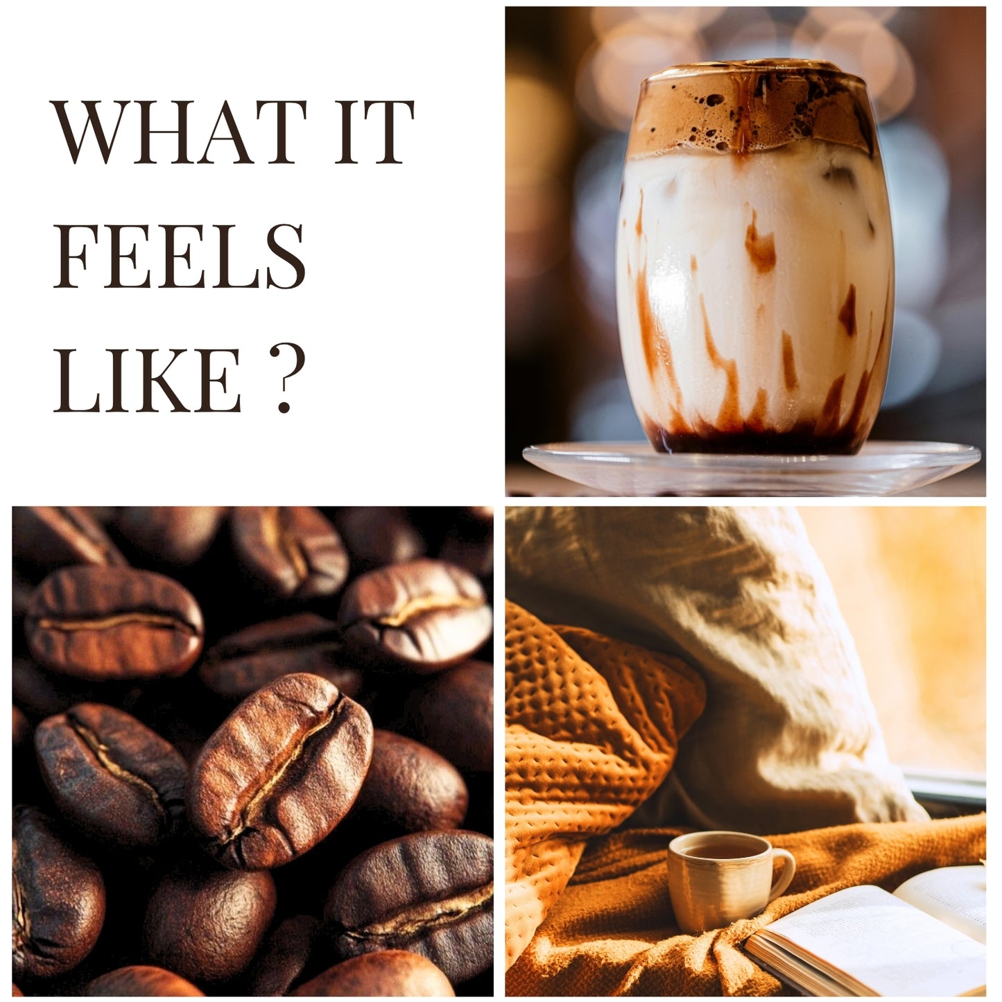 Mocha Mist| Home Reed Diffuser| 100 ml