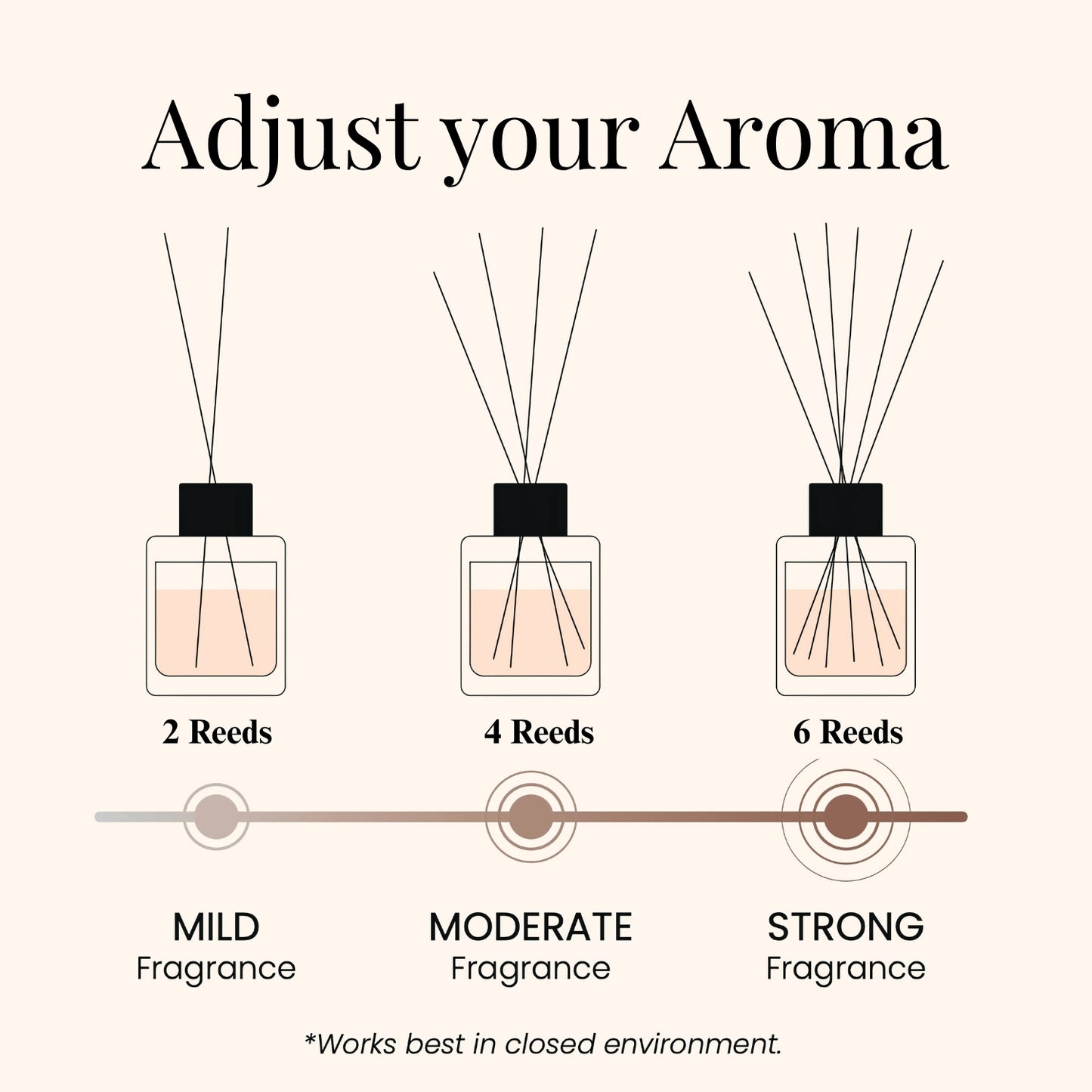 Mocha Mist| Home Reed Diffuser| 100 ml