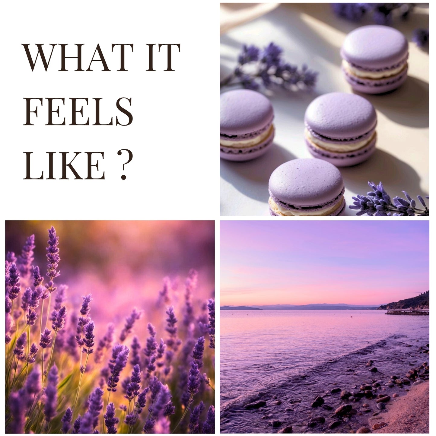 Provence Haze| Home Reed Diffuser| 100 ml