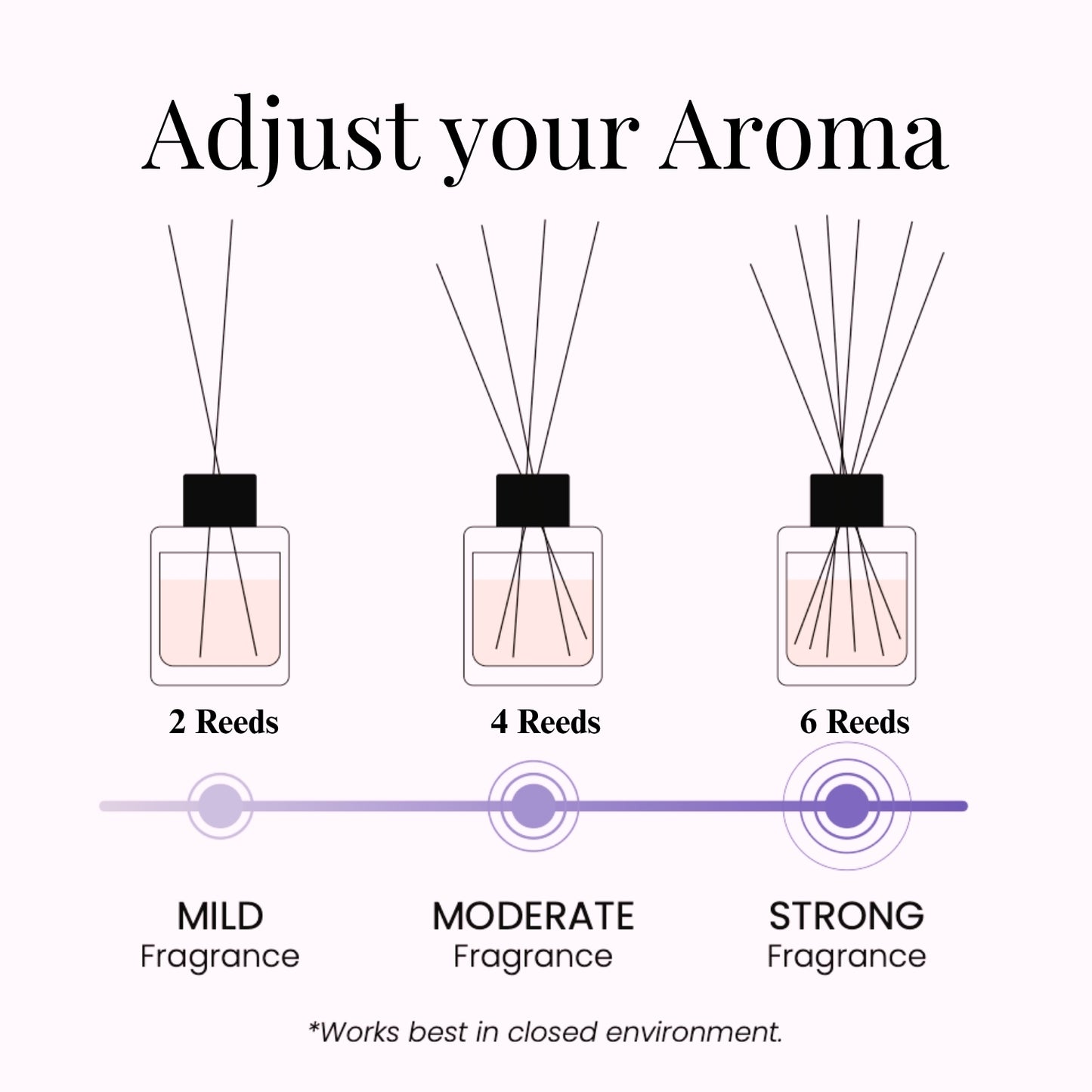 Provence Haze| Home Reed Diffuser| 100 ml