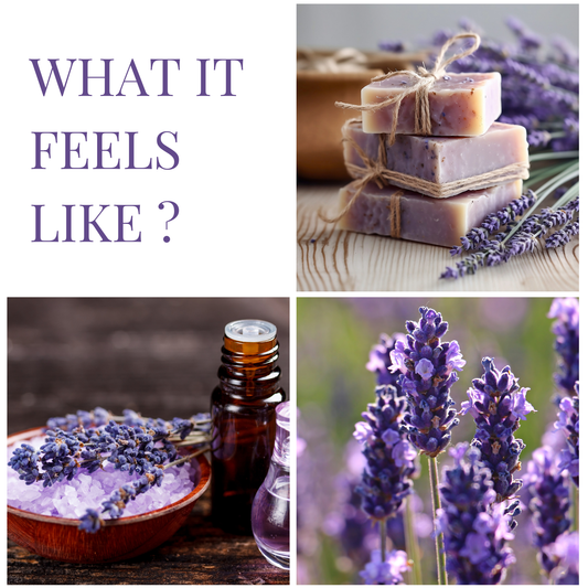 Lavender | Car Hanging Pod | upto 75 days