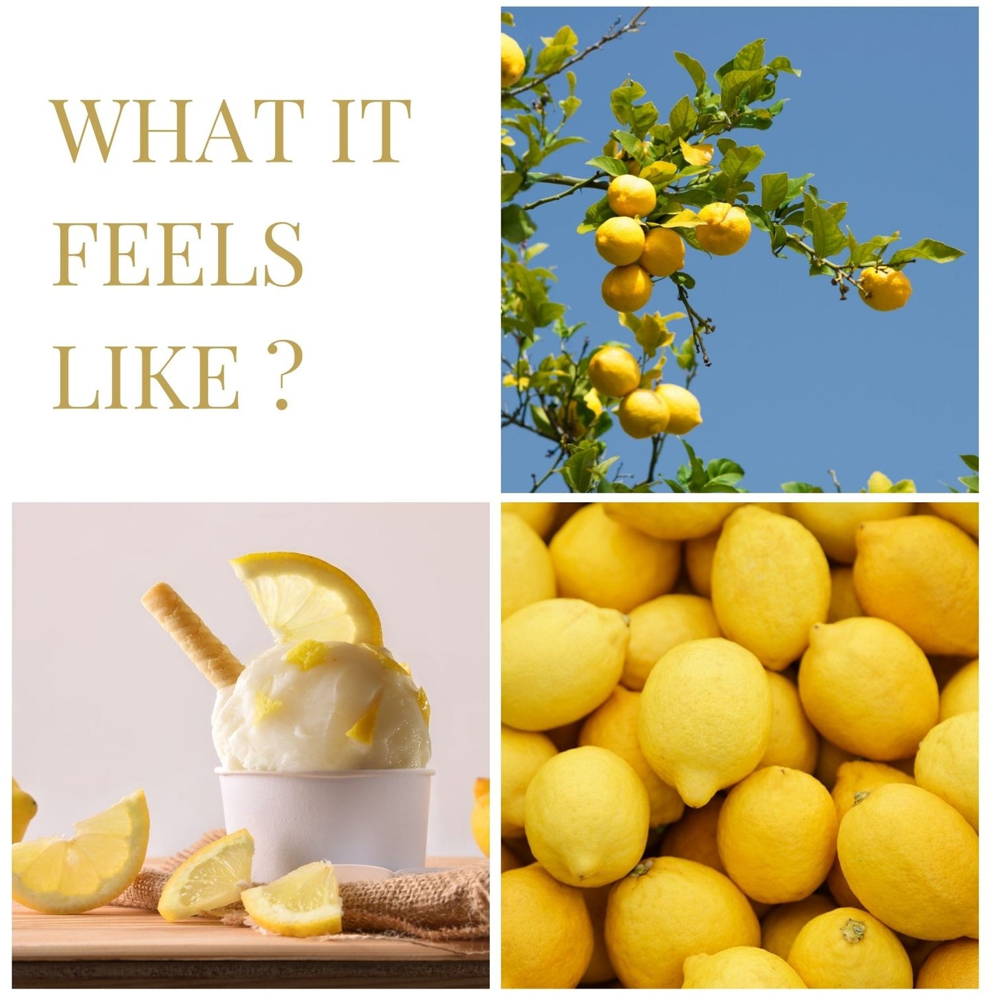 Lemon | Dual Mode Car AC Vent Air Fragrance