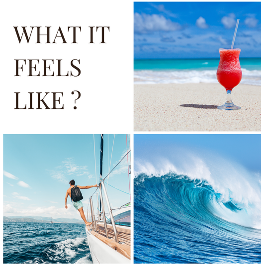 Marine Escape | Car Hanging Pod | upto 75 days