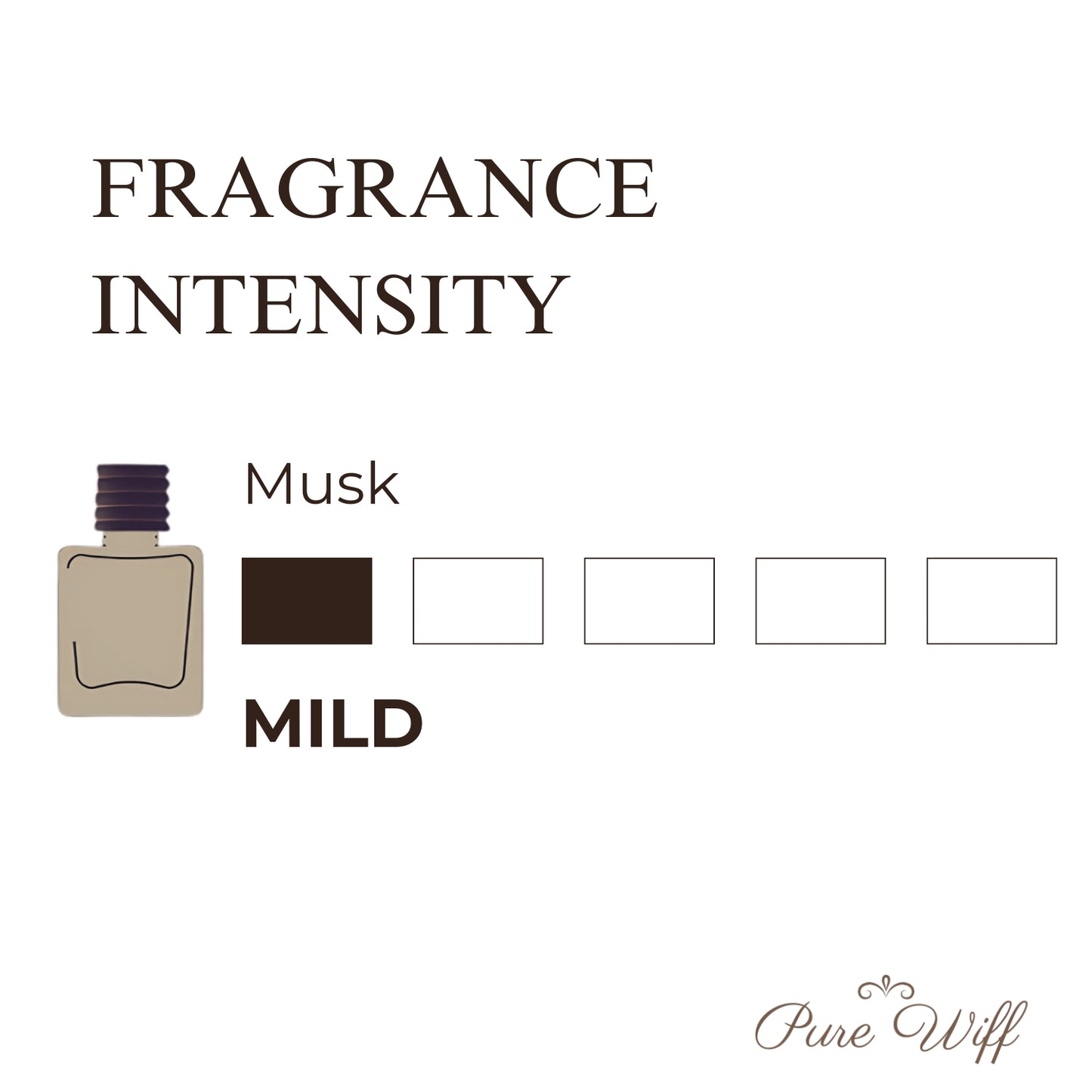 Musk   |   Car Hanging Pod   |   upto 75 days