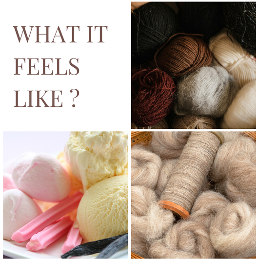 Musk | Car Hanging Pod | upto 75 days