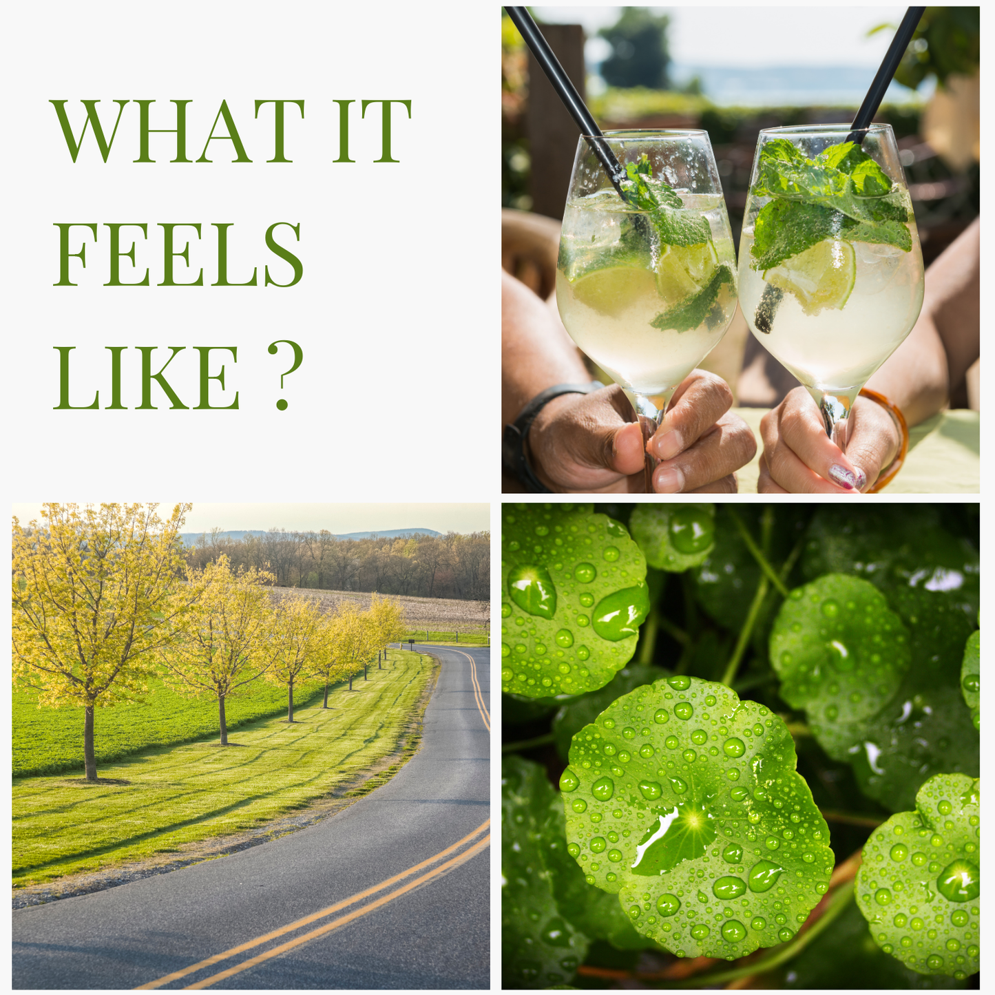 Sparkling Dew | Dual Mode Car AC Vent Air Fragrance