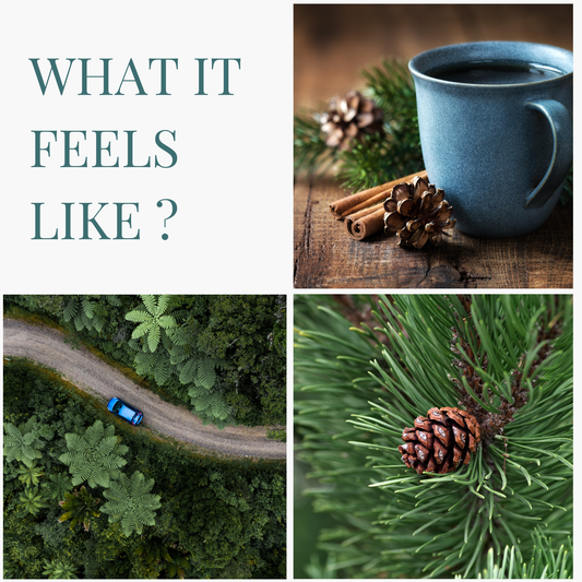 Timber Trails | Dual Mode Car AC Vent Air Fragrance