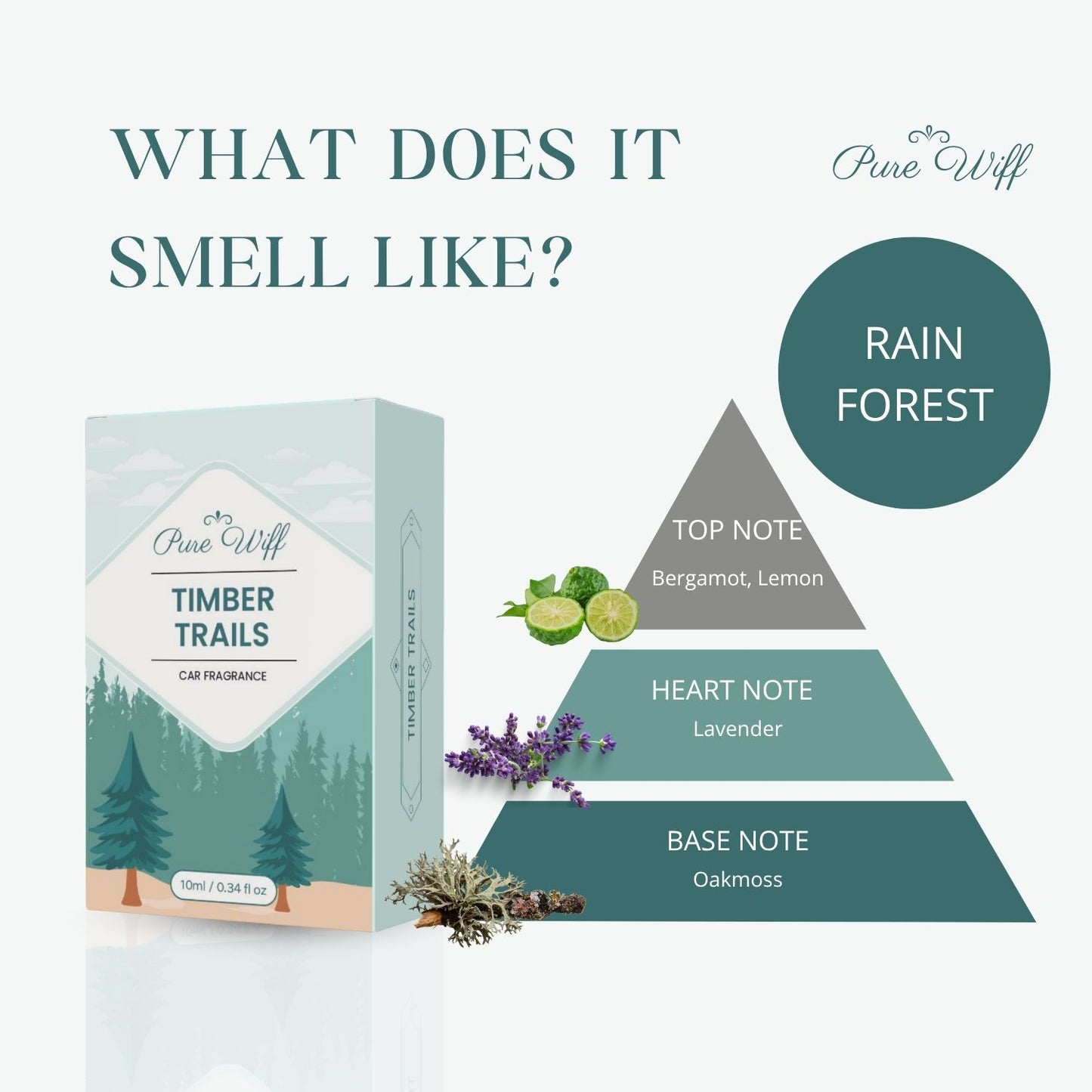 Timber Trails | Dual Mode Car AC Vent Air Fragrance