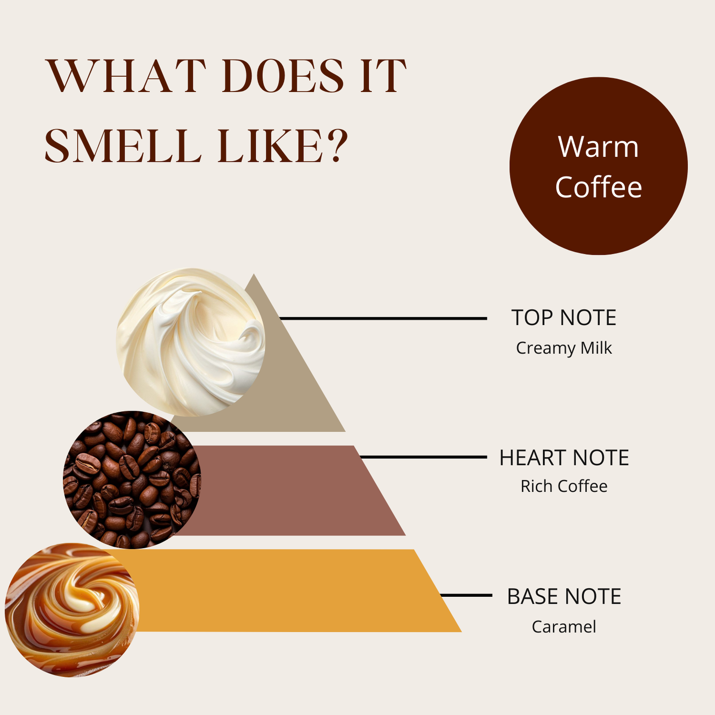 Mocha Mist| Home Reed Diffuser| 100 ml